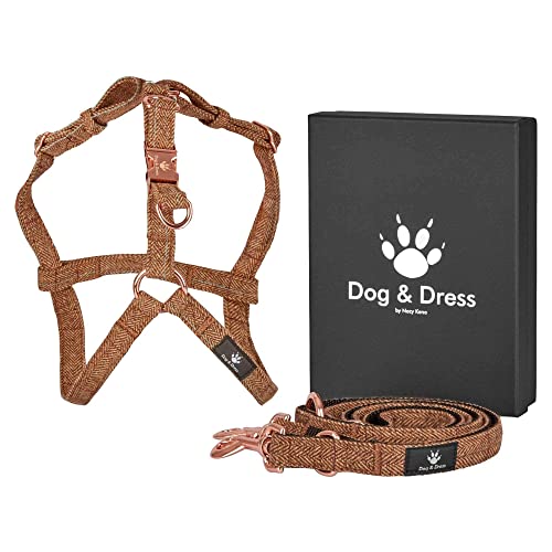 Dog & Dress Hundegeschirr mit Leine Set, Argos, Rose Gold, Geschirr und Leine Verstellbar, No Pull, Karabiner, Nylon Tweed für große Hunde braun inkl Geschenkbox von Dog & Dress by Nacy Kena