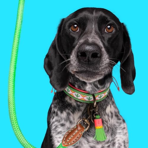 Dog with a Mission - Hundehalsband XS | Farbenfroh Grün, Rosa mit Perlen | Hübsch, Boho, Ethno, Ibiza, Hippie | Kleine Hunde | Handgemacht | Modisch und Bunt | Aus weichem Echtes Leder | 2 cm Breit Dog with a Mission - Hundehalsband XS | Farbenfroh Grün, Rosa mit Perlen | Hübsch, Boho, Ethno, Ibiza, Hippie | Kleine Hunde | Handgemacht | Modisch und Bunt | Aus weichem Echtes Leder | 2 cm Breit von Dog with a Mission