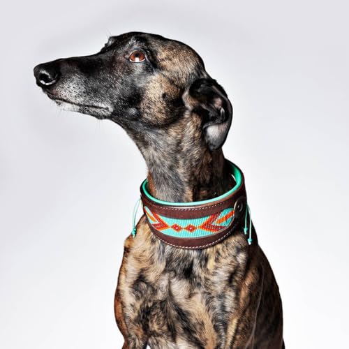 DWAM Hundehalsband – Hundehalsband – Türkis – Leder – S – 22–26 x 4 cm – Paddy Lee Windhund - Halsumfang zwischen 22-26 cm von Dog with a Mission