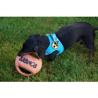 2 Stck. Blindenabzeichen Patch 2 Stck. Blindenabzeichen Patch von DogWishes