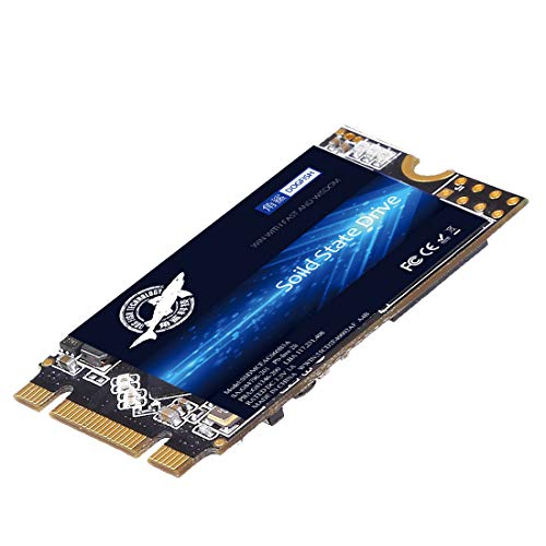 M.2 2242 SSD 60GB Ngff Dogfish Internal Solid State Drive 42 * 22MM Hard Drive M2 SSD M.2 SSD Included 60GB 120GB 240GB 250GB 256GB 480GB 500GB(60GB M2 2242) von THREE COLOUR DOGFISH