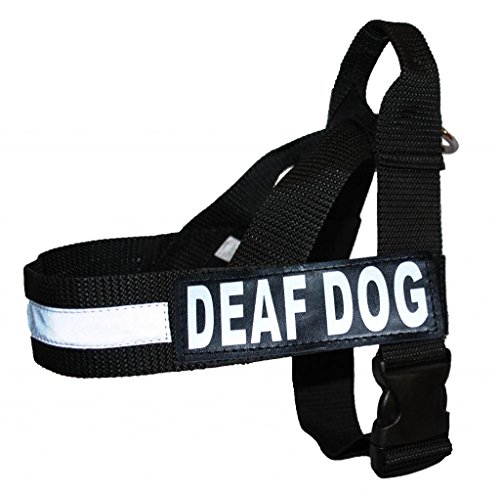 Deaf Hund Nylon Gurt Service Hundegeschirr Keine Pull Guide Hilfe kommt mit 2 Reflektierende abnehmbare Klett Patches. Bitte Messen Sie Ihren vor Bestellung., Medium Fits Girth 22-29", schwarz von Doggie Stylz