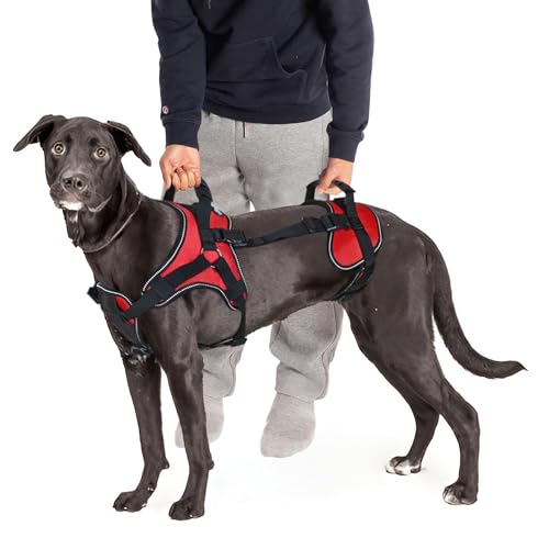 Doggie Stylz Multifunktionales Ganzkörper-Hebegeschirr für Hunde, nur für vorne, hinten oder für den ganzen Körper. Bitte messen Sie Ihren Hund vor der Bestellung. von Doggie Stylz