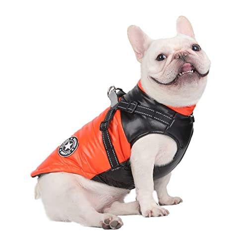 DoggieKit Hundemantel Winter Warm Gepolstert Puffer Pet KostümHund Kleidung Winterweste Hundejacke Wintermäntel wasserdichte Warme Jacke Sweater für Kleine Mittelgroße Große Hunde (XL, Orange) von DoggieKit