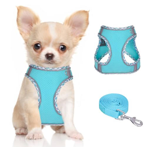 Doggiekit Hundegeschirr Kleine Hunde mit Leine, verstellbares reflektierendes Step in Welpengeschirr Leine, Atmungsaktives Mesh Hundegeschirr,weich gepolsterte Weste für extra kleine/mittelgroße Hunde Doggiekit Hundegeschirr Kleine Hunde mit Leine, verstellbares reflektierendes Step in Welpengeschirr Leine, Atmungsaktives Mesh Hundegeschirr,weich gepolsterte Weste für extra kleine/mittelgroße Hunde von DoggieKit