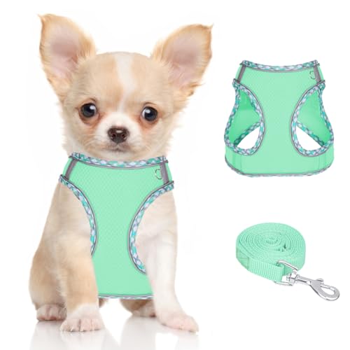 Doggiekit Hundegeschirr Kleine Hunde mit Leine, verstellbares reflektierendes Step in Welpengeschirr Leine, Atmungsaktives Mesh Hundegeschirr,weich gepolsterte Weste für extra kleine/mittelgroße Hunde Doggiekit Hundegeschirr Kleine Hunde mit Leine, verstellbares reflektierendes Step in Welpengeschirr Leine, Atmungsaktives Mesh Hundegeschirr,weich gepolsterte Weste für extra kleine/mittelgroße Hunde von DoggieKit