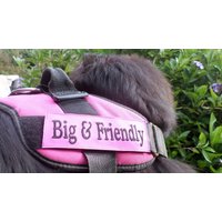 1 Paar Canine Geschirr K9 Pink Etiketten Personalisiert Mit Dem Namen Ihres Hundes - Wasserfest Einfach Anzubringen von DoggiesWorld