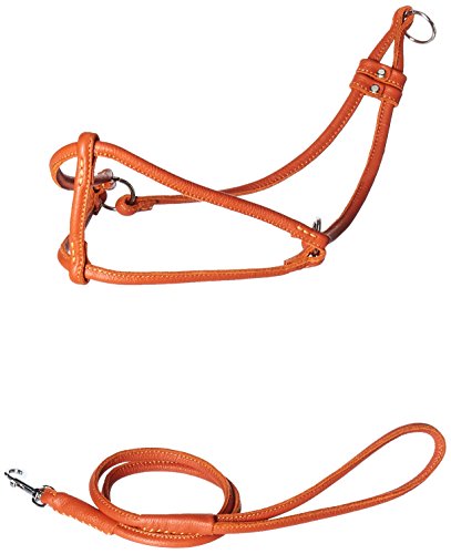 Dogline Hundegeschirr, weich, rund, gerollt, Echtleder, mit 38,1 bis 50,8 cm Brustumfang und 91,4 cm Leine, Orange von Dogline