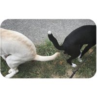 Doppel-Kipp-Badematte von DogsTakingDumps