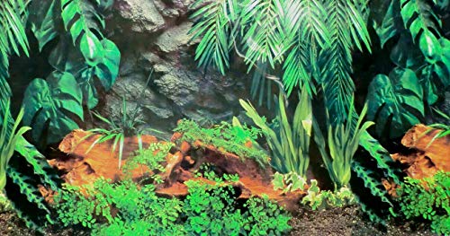 Dohse Aquaristik Rückwandfolie 150 cm x 60 cm Terrarien Aquarien Rückwand Hintergrund Dekoration Dohse Aquaristik Rückwandfolie 150 cm x 60 cm Terrarien Aquarien Rückwand Hintergrund Dekoration von Aquarium Rio