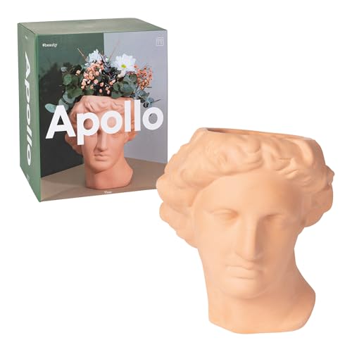 DOIY - Moderne dekorative Vase - Design in Form des griechischen Gottes Apollon - Hergestellt aus Keramik - Blumenvase - Dekorativer Blumenhalter - Braun - 20x20x23,4 cm von Doiy