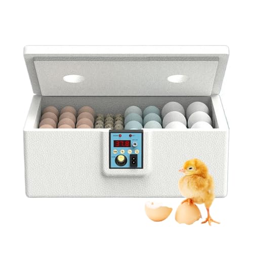 Brutautomat Eier Inkubator - Halbautomatisch Brutapparat Für 10-25 Eier, Manuelles Wenden Der Eier Ist Erforderlich, Intelligenter Brutkasten Mit Temperaturkontrolle, Für Hühnereier, Wachtel von Doiyislem