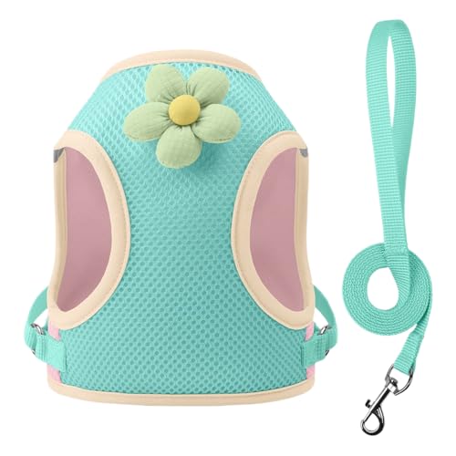 Doiyislem Haustiergeschirr,Reflektierendes Brustgeschirr | Atmungsaktives Zubehör Mit Gurten Für Jungtiere Bei Outdooraktivitäten Reisen Training Nachtspaziergängen Park von Doiyislem