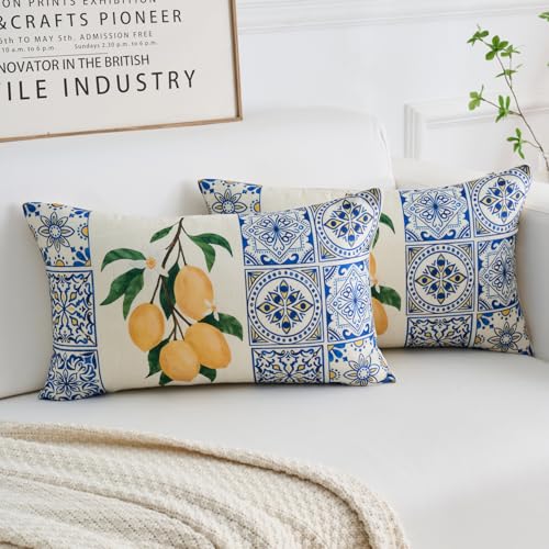 Kissenbezug 30x50cm Boho Blau Kissenbezüge Gelb Zitrone Obst mit Grüne Blätter Polyester Kissenhülle Dekokissen für Wohnzimmer Sofa Garten Terrasse Patio 2er Set von Dokeleen