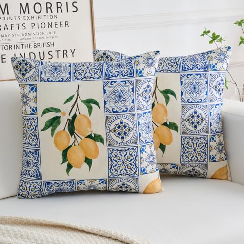 Kissenbezug 40x40cm Boho Blau Kissenbezüge Gelb Zitrone Obst mit Grüne Blätter Polyester Kissenhülle Dekokissen für Wohnzimmer Sofa Garten Terrasse Patio 2er Set von Dokeleen