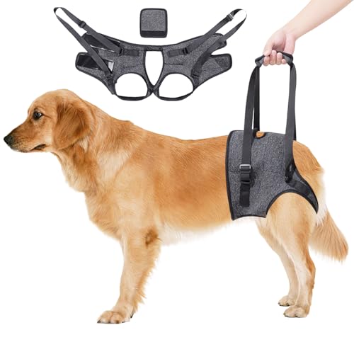 Tragehilfe Hund -Tragbares Hundegeschirr für die Hinterbeine,Verstellbares Hunde Aufzugsgeschirr, Hunde Tragegeschirr für ältere, behinderte & jene mit Mobilitätsproblemen-Grau (L) von Dokeno