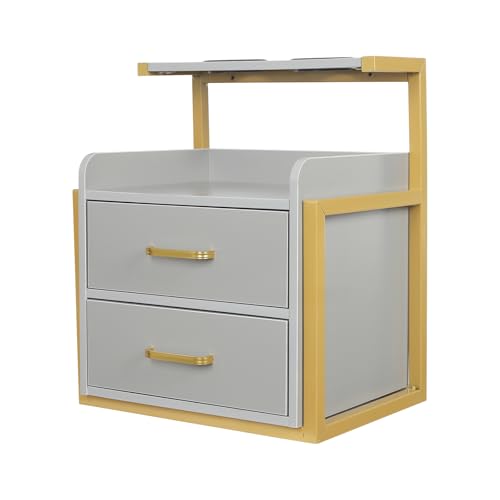 Dokiiovo Hängender Salon-Wandschrank, Wandmontierter Salon-Speicherschrank, Aufbewahrungstisch mit 2 Schubladen und Haartrocknerständer, für Spas, Friseurläden, Salons, 40x30x48 cm (Gold+Grau) von Dokiiovo