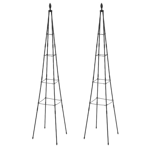 Pflanzengitter für Kletterpflanzen, Rankhilfe Garten Obelisk 2er Set, Robuste Rankhilfe Topfpflanzenstütze Rankgitter 170cm Metall Obelisk für Kletterpflanzen wie Blumen, Rosen usw. von Dokiiovo