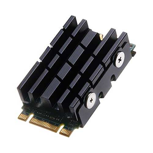DolDer M.2 2242 SSD Kühlkörper, Aluminium Kühler Heatsink mit Wärmeleitpads für M.2 2242 SSD (2242 schwarz) von DolDer