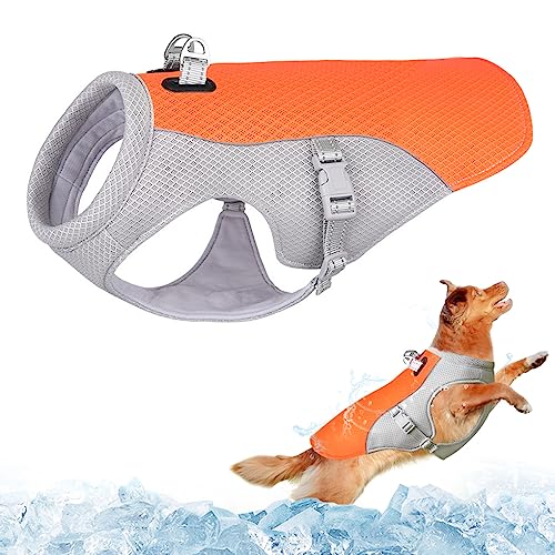 Dolahovy Hund Kühlweste Geschirr, Atmungsaktive Mesh Hund Cool Jacke Einstellbare Sommer Hund Mantel Reflektierende Sicherheit EIS Kleidung für große mittlere kleine Hunde im Freien (L, Orange) von Dolahovy