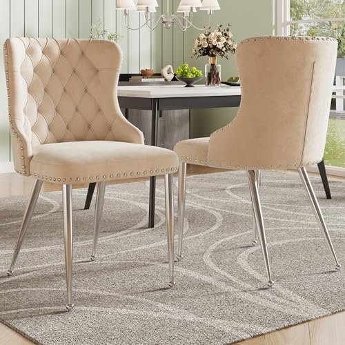 Dolamaní Esszimmerstühle 2er Set Samtstoff mit Gepolstertes Rückenlehne, Polsterstuhl Esszimmer Stuhlmit verstellbares Fußdesign, Silberne Stuhlbeine (Beige B-2er Set) von Dolamaní