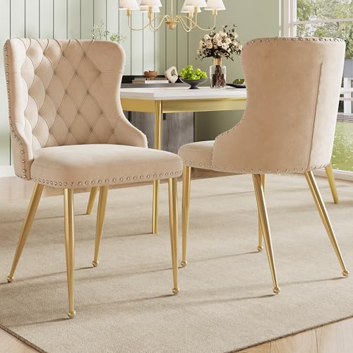 Dolamaní Esszimmerstühle 2er Set Samtstoff mit Gepolstertes Rückenlehne, Polsterstuhl Esszimmer Stuhlmit verstellbares Fußdesign, goldene Stuhlbeine (Beige A-2er Set) von Dolamaní