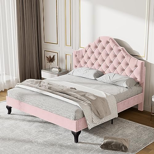 Dolamaní Jugendbett 140x200 cm Mädchen Jungen, Polsterbett Samt mit Höhenverstellbares Kopfteil, Doppelbett mit Lattenrost & Bettfuß, Jugendzimmer Schlafzimmer Bett, Rosa von Dolamaní