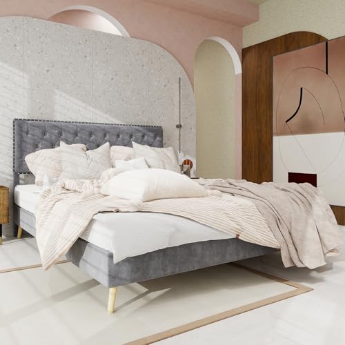 Dolamaní Polsterbett 160x200 cm Samt, Flachbett mit 4 Metallbeinen, Jugendbett Doppelbett Bettgestell mit Holzlatten, Gepolstertes Kopfteil, ohne Matratze (Beige B) von Dolamaní