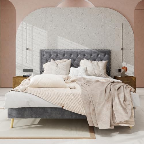 Dolamaní Polsterbett 160x200 cm Samt, Flachbett mit 4 Metallbeinen, Jugendbett Doppelbett Bettgestell mit Holzlatten, Gepolstertes Kopfteil, ohne Matratze (Grau B) von Dolamaní