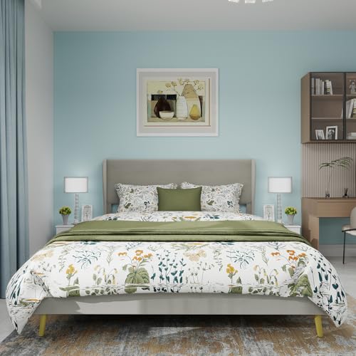 Dolamaní Polsterbett 160x200 cm Samt, Gepolstertes Doppelbett, Bett mit Lattenrost aus Holz, großes Kopfteil, Jugendbett für Schlafzimmer & Jugendzimmer, Bettgestell ohne Matratze (Beige B) von Dolamaní