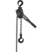 Dolezych Ratschenhebelzug Black Series, TK 750 kg, Länge 3 m von Dolezych