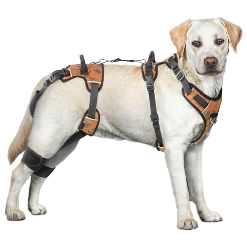 Dollephi Hundegeschirr zum Heben, mit Griff und Schulterschlinge, Stützgeschirr für Hinter- und Hinterbeine, hilft bei Behinderungen, Arthritis, Gelenkverletzungen, Lähmungen auf der Treppe (Orange, von Dollephi