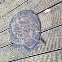 30x30mm Vintage Französich Esgargot Schnecke Trittstein Ein Echter Schneckenhaus von DolmenAntiqueTiles