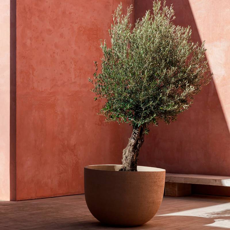 Domani Texel Pot von Domani