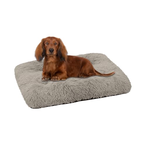 Domarex Hundebett Katzenbett weich flauschig 70x50 cm - orthopädisches Haustierbett für kleine Hunde & Katzen - rutschfestes, pflegeleichtes Kuschelkissen aus Polyester mit Silikonfüllung - Beige Domarex Hundebett Katzenbett weich flauschig 70x50 cm - orthopädisches Haustierbett für kleine Hunde & Katzen - rutschfestes, pflegeleichtes Kuschelkissen aus Polyester mit Silikonfüllung - Beige von Domarex