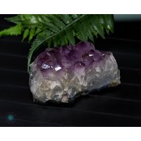 Mittlerer Amethyst Bergkristall, Natürlicher Kristall, Weihnachtsgeschenk, Blume von Dominicanblueamber1
