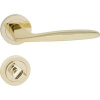 Türgriff Drückergarnitur wc - Badezimmer Set Rund-Rosette Türbeschlag für Badezimmertüren Set wc - Rosetten-Garnitur Aluminium Messing Gold von Domino