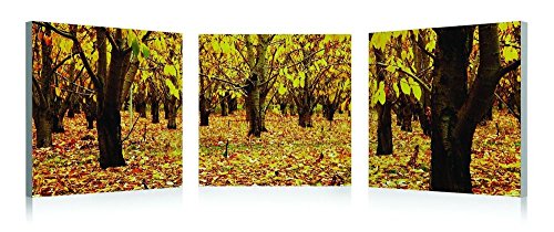 Domodeko D4468 Tabelle Digital Holz bunt 40 x 40 x 10 cm von Domodeko