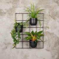 Hedera 3Er Set 2 Wand Rankgitter Pflanzenaufhänger Blumenaufhanger Kwietnik Plante Cintre von DomoweKwietniki