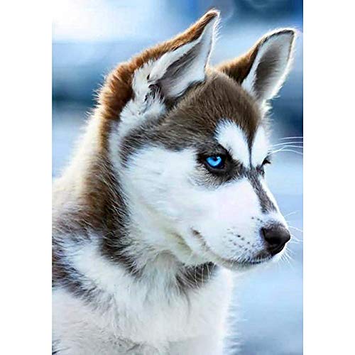 Domybest Husky 5D DIY Diamond Painting Tiere, komplettes Handwerk, Basteln, Malerei, Diamant-Stickerei, Kreuzstich, komplett, für Dekoration, Geschenk, 30 x 40 cm von DomybestFR