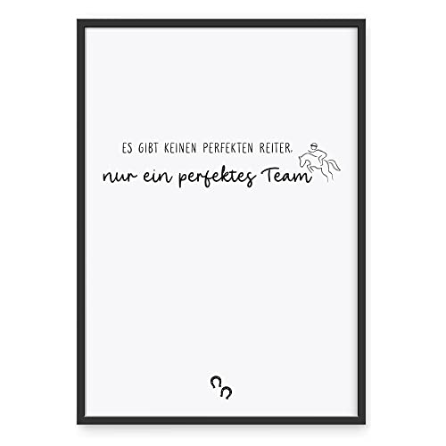 Donari ® Poster mit Pferdesprüchen ohne Rahmen in A4 • Wanddeko in Schwarz Weiß für Wohn- & Schlafzimmer • Geschenk für Tierbesitzer (A4, Pferd - Team) von Donari