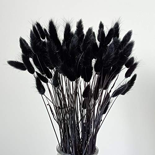 110 Stiele getrocknetes Hasenschwanzgras, natürlich getrocknetes Lagurus Ovatus, Kaninchenschwanzgras für Hochzeitsdekoration (schwarz) von DongArts