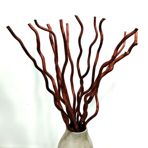 15 Stück getrocknete lockige Weidenzweige, 58,4 cm, natürliche getrocknete Pflanzen, dekorative Zweige mit 3 Mini-Kürbissen für Bastelarbeiten, Vasen, Hochzeit, Heimdekoration, Braun 15 Stück getrocknete lockige Weidenzweige, 58,4 cm, natürliche getrocknete Pflanzen, dekorative Zweige mit 3 Mini-Kürbissen für Bastelarbeiten, Vasen, Hochzeit, Heimdekoration, Braun von DongArts