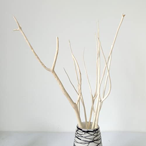 53,3 - 58,4 cm dekorative getrocknete gebleichte Mitsumata-Zweige, Naturholz DIY Handwerk Zweige für Zuhause Hochzeit Party Dekoration 53,3 - 58,4 cm dekorative getrocknete gebleichte Mitsumata-Zweige, Naturholz DIY Handwerk Zweige für Zuhause Hochzeit Party Dekoration von DongArts