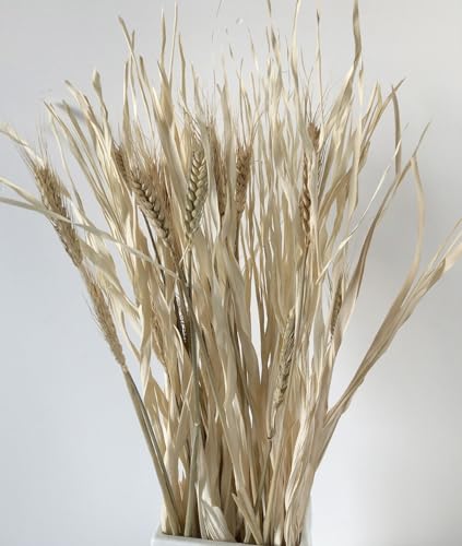 DongArts 55,9 cm getrocknete wilde sonnengetrocknete Palme Wispy Getrocknete Blattfront, konservierte weiße Blätter mit Weizenrohrkolben, ideal für böhmische Kunst, Zuhause, Hochzeitsdekoration (weiße von DongArts