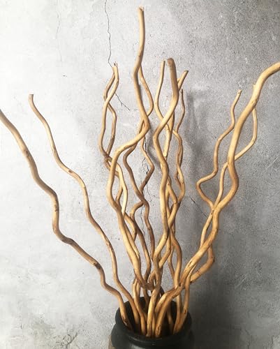 DongArts 58 cm Getrocknete Weidenzweige, 15 Stämme Getrocknete Zweige Holzstöcke, Natürliche getrocknete Pflanzen Dekorative Zweige für Weihnachten Rustikale Heimdeko (Helles Gold) von DongArts