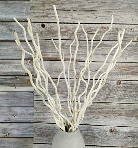 DongArts Getrockneter, natürlicher lockiger Weidenzweig, 16 Stück, dekorative gedrehte weiße Stäbe, 58,4 cm, 3 Stück Mini-echte Kürbisse für Heimdekoration von DongArts
