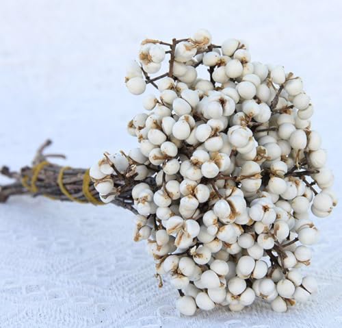 DongArts Natürliche getrocknete Talgbeeren für Hochzeitsdekor von DongArts