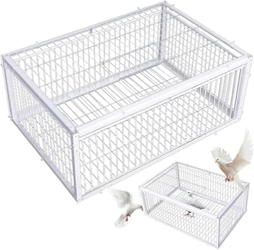 Dongdaping Taubenkäfig mit zwei Einwegeingängen, 40,6 x 30,5 x 25,4 cm Vogelkäfig mit Dachfenster Taubenkäfig Dongdaping Taubenkäfig mit zwei Einwegeingängen, 40,6 x 30,5 x 25,4 cm Vogelkäfig mit Dachfenster Taubenkäfig von Dongdaping