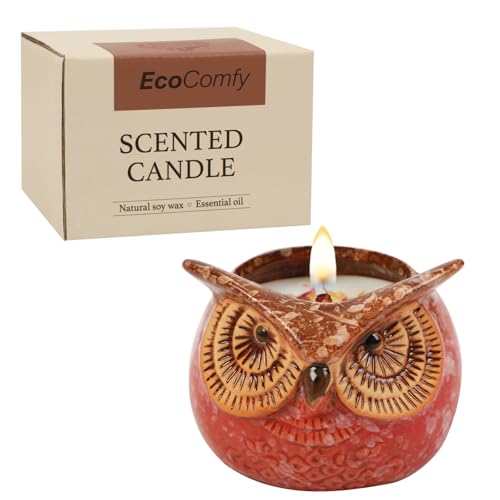 Eulenkerze Geschenk für Frauen， 350gZitrusduftkerze mit getrockneten Blumen, Weihnachtskerzengeschenkset mit 30 Stunden Brenndauer, Weihnachtskerzengeschenkset mit 30 Stunden Brenndauer von Dongzhi